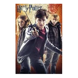 Harry Potter Maxi Poster